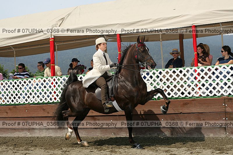 Proof 07upha_0368