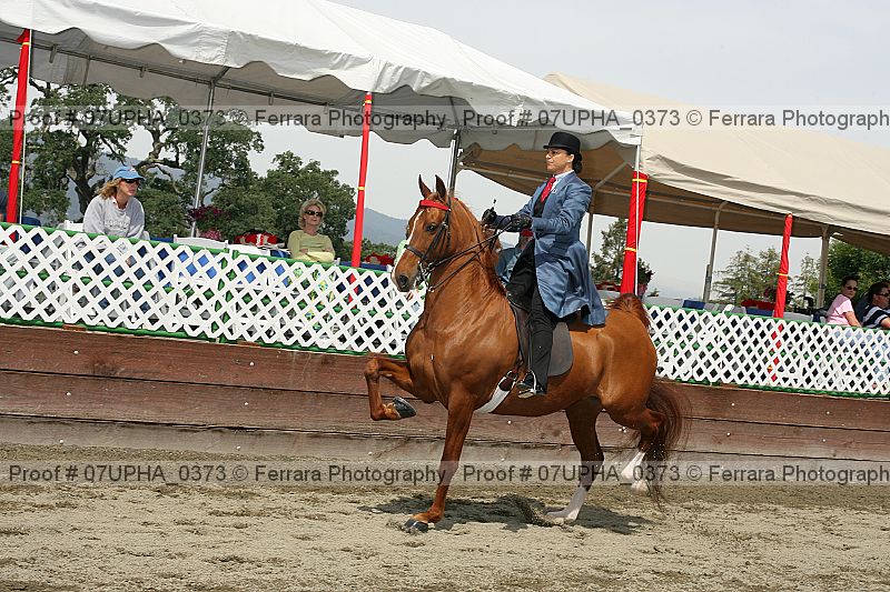 Proof 07upha_0373