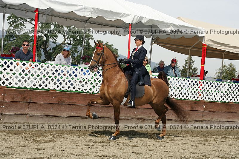 Proof 07upha_0374