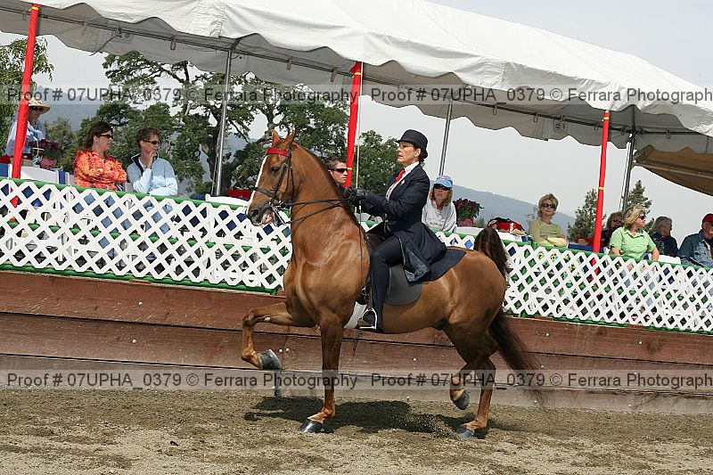 Proof 07upha_0379
