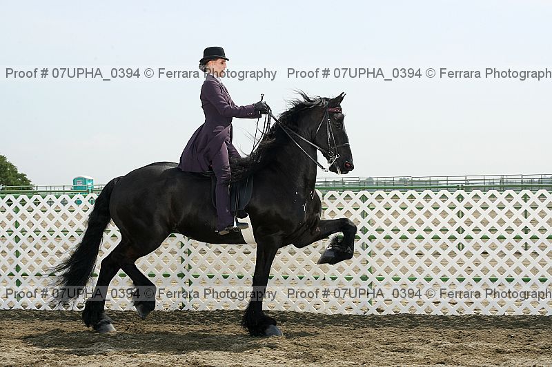 Proof 07upha_0394