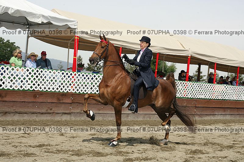 Proof 07upha_0398
