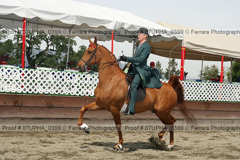 Proof 07upha_0399