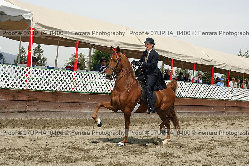 Proof 07upha_0400