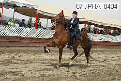 07upha_0404 proof