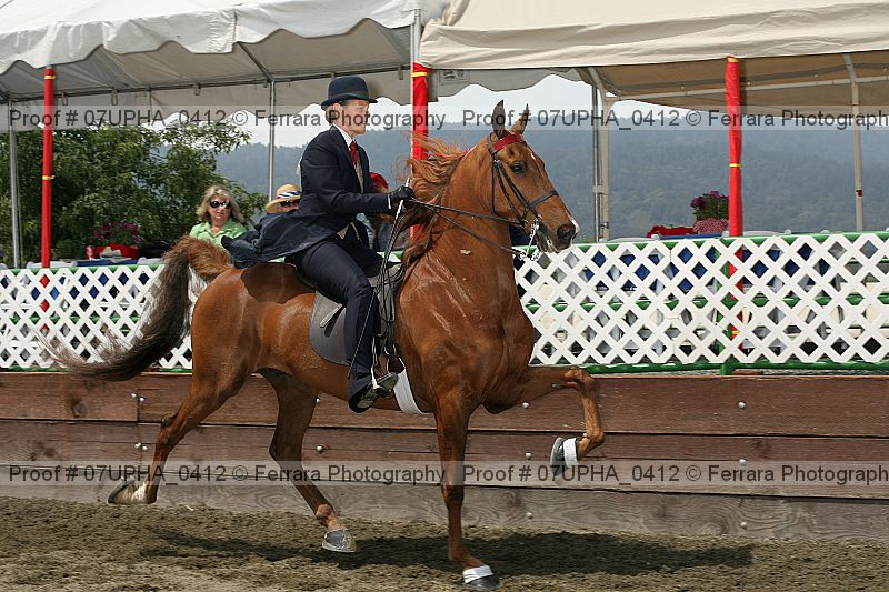 Proof 07upha_0412