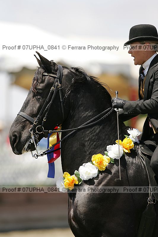 Proof 07upha_0841