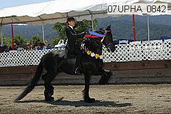 07upha_0842 proof