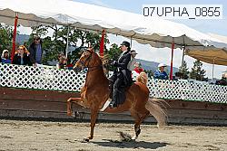 07upha_0855 proof