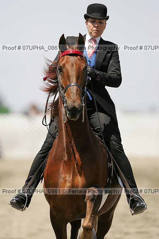 Proof 07upha_0861