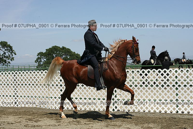 Proof 07upha_0901