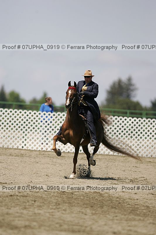Proof 07upha_0919