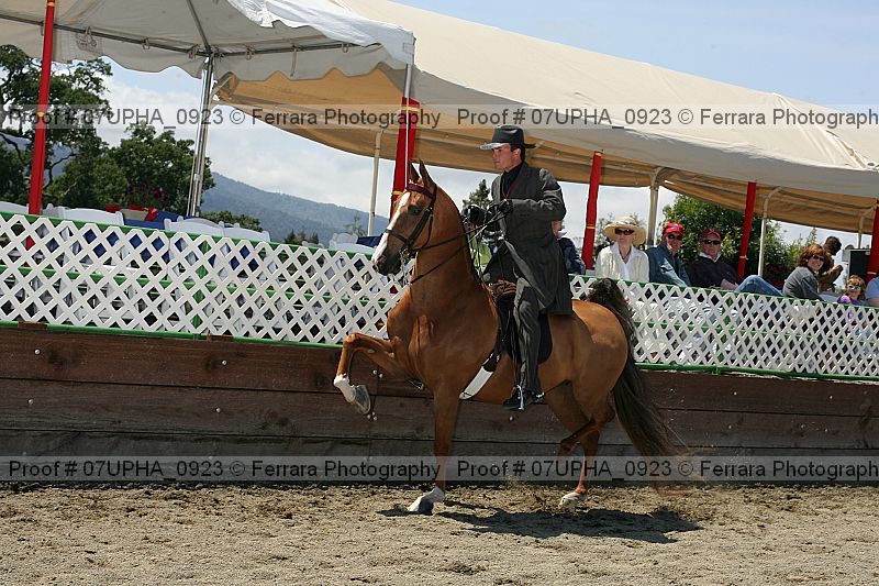 Proof 07upha_0923