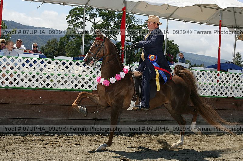 Proof 07upha_0929