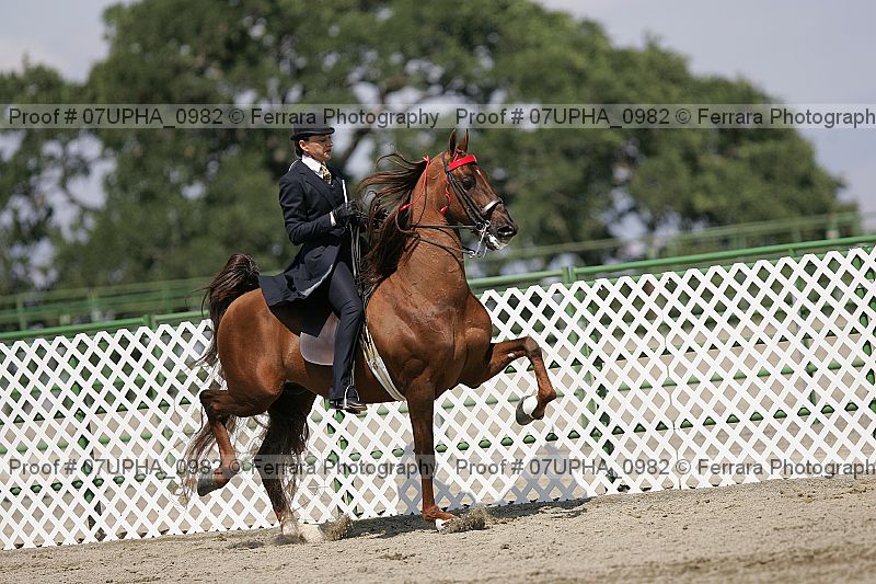 Proof 07upha_0982