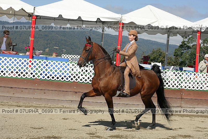 Proof 07upha_0699
