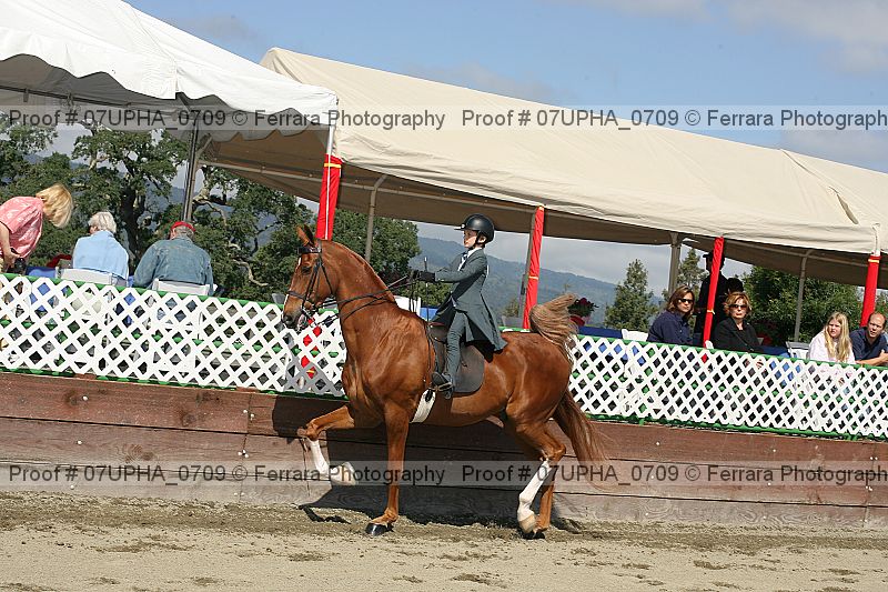 Proof 07upha_0709