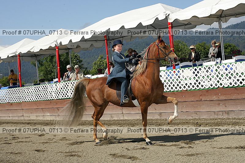 Proof 07upha_0713