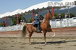 07upha_0713 proof