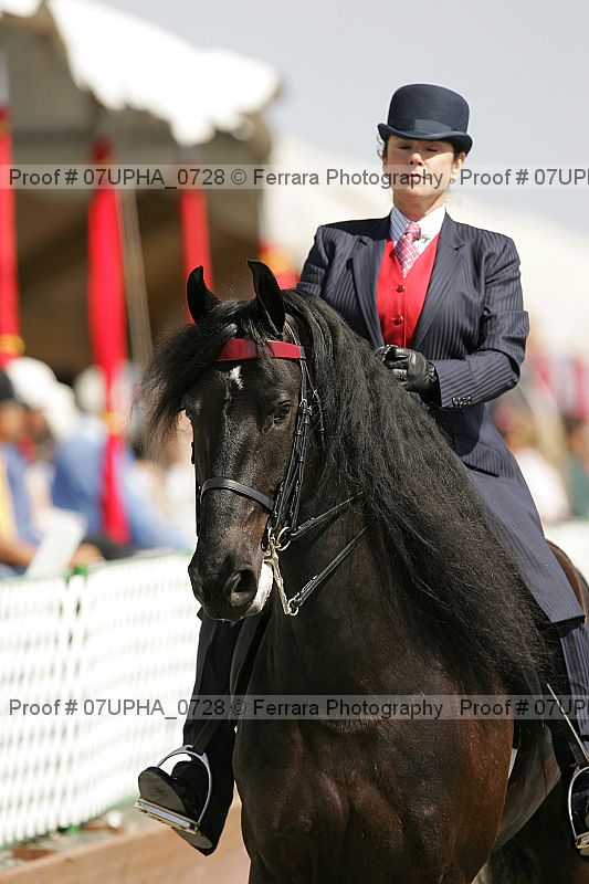 Proof 07upha_0728