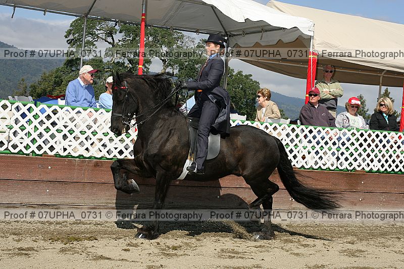 Proof 07upha_0731