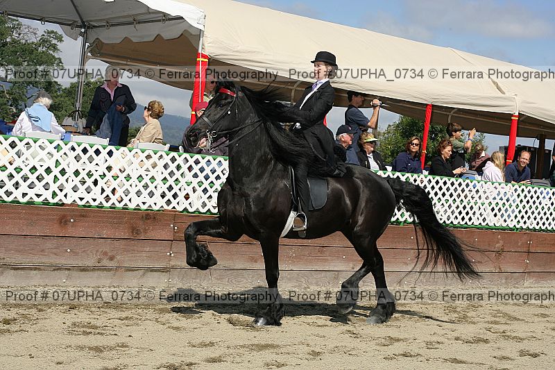 Proof 07upha_0734