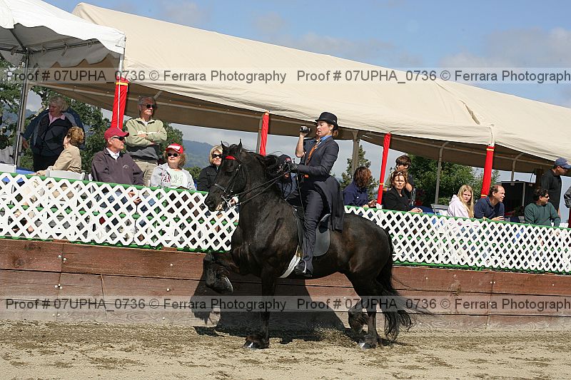 Proof 07upha_0736