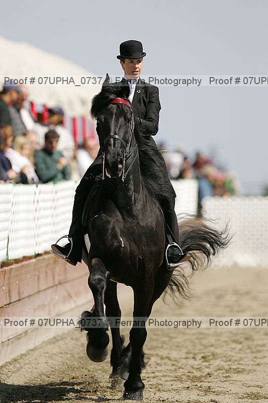Proof 07upha_0737