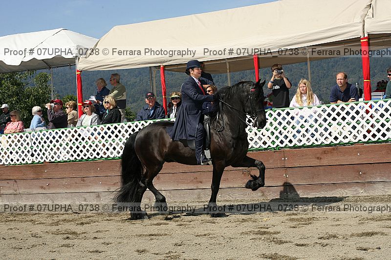 Proof 07upha_0738