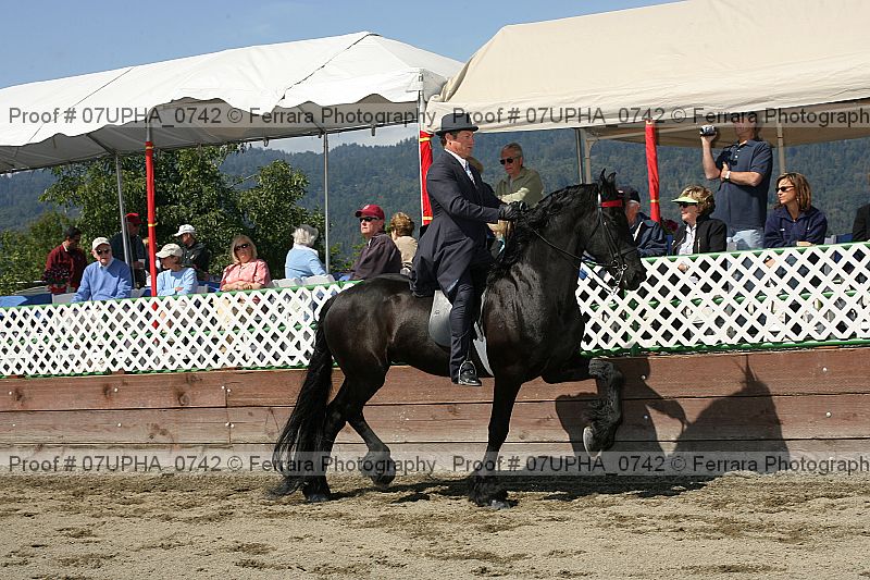Proof 07upha_0742