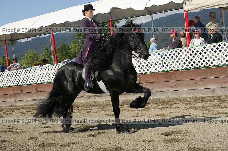 Proof 07upha_0743