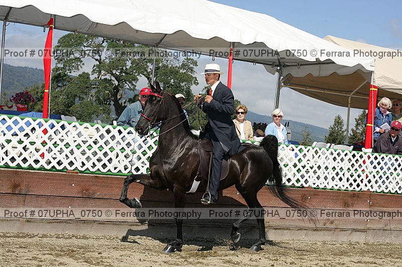 Proof 07upha_0750