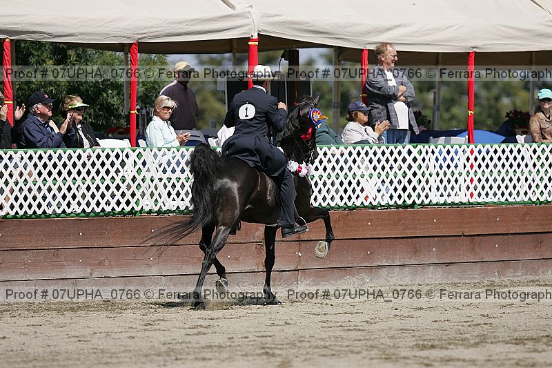 Proof 07upha_0766