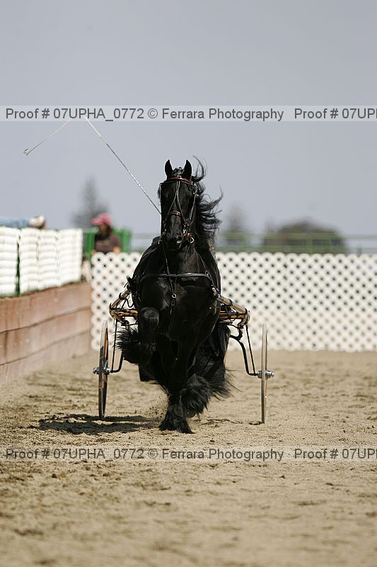 Proof 07upha_0772