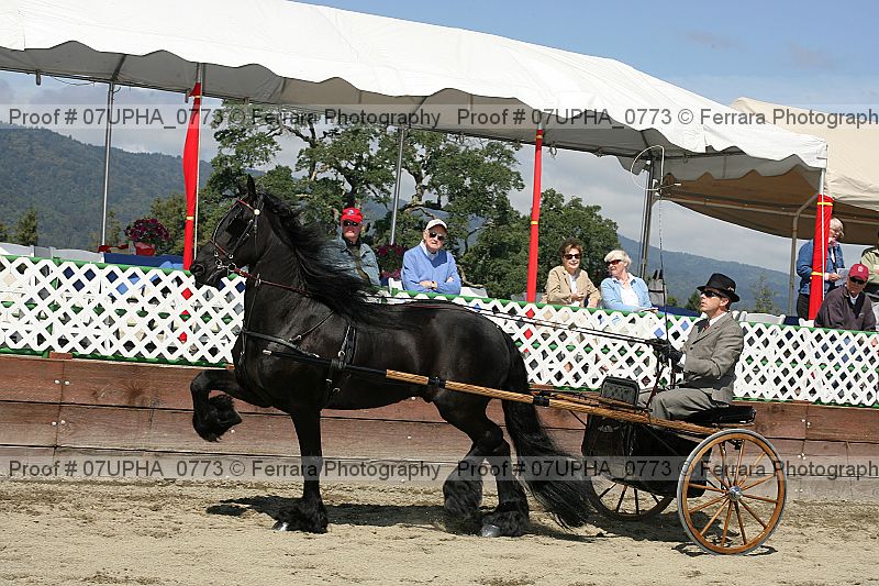 Proof 07upha_0773