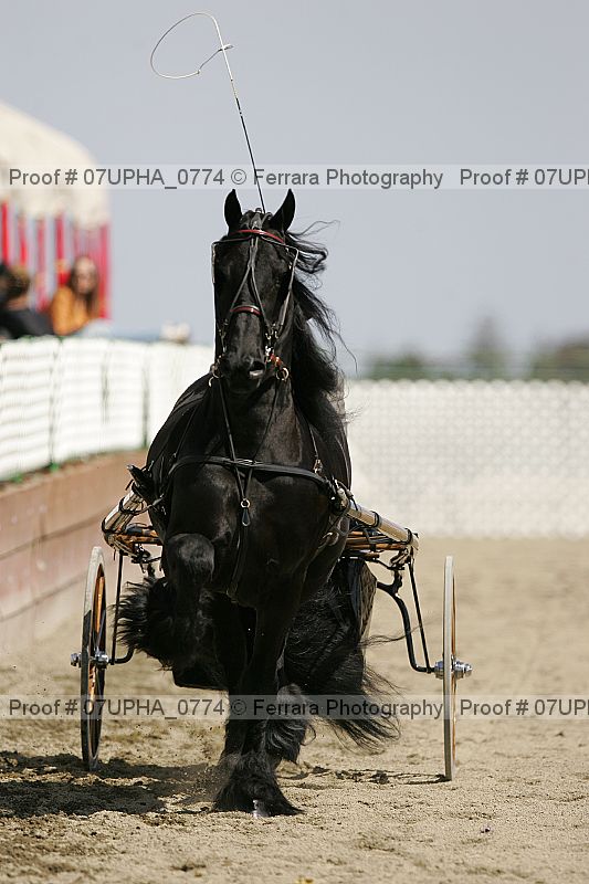 Proof 07upha_0774