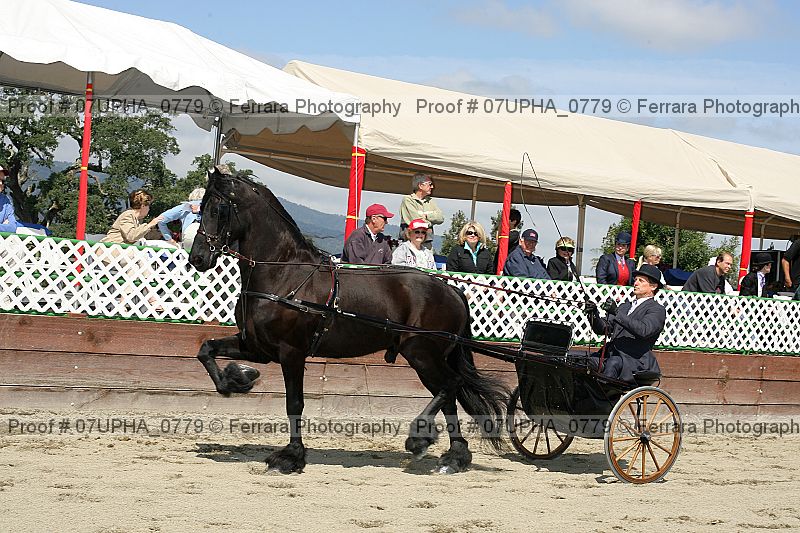 Proof 07upha_0779