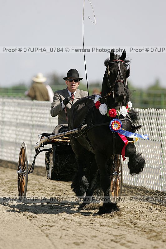 Proof 07upha_0784