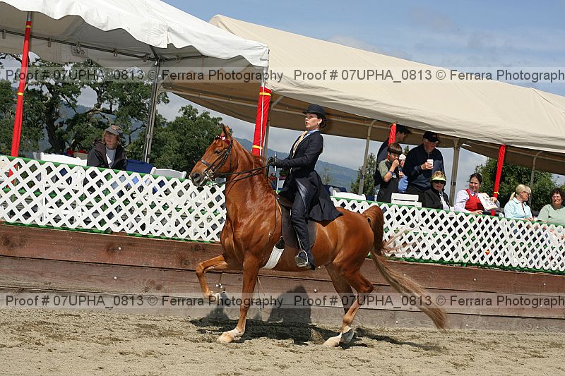 Proof 07upha_0813