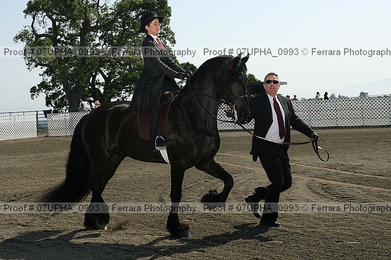 Proof 07upha_0993
