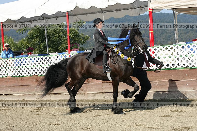 Proof 07upha_0999