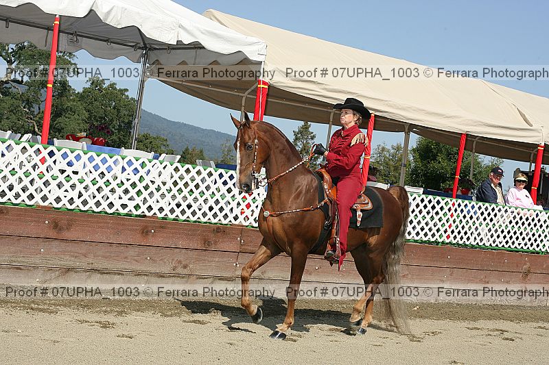 Proof 07upha_1003