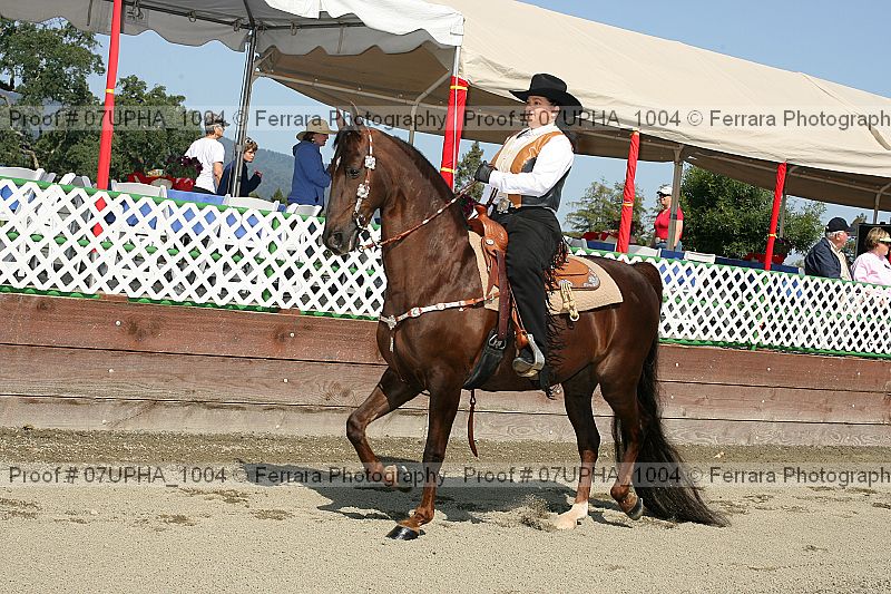 Proof 07upha_1004