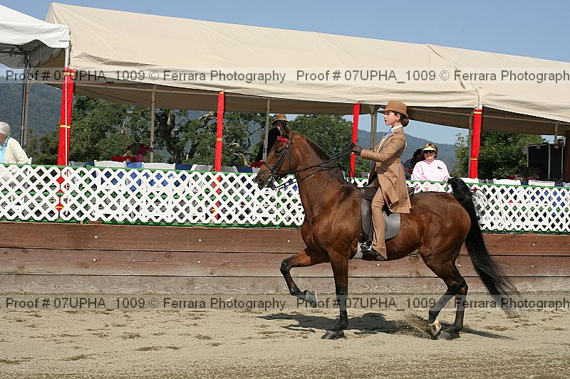 Proof 07upha_1009