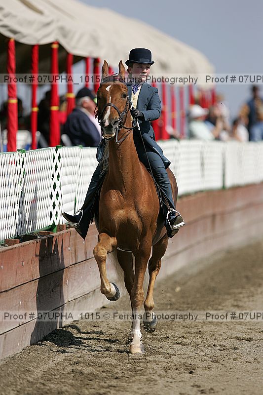 Proof 07upha_1015