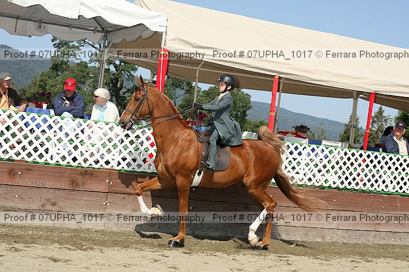 Proof 07upha_1017