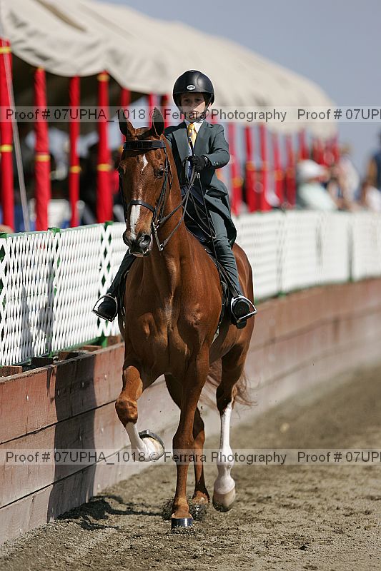 Proof 07upha_1018