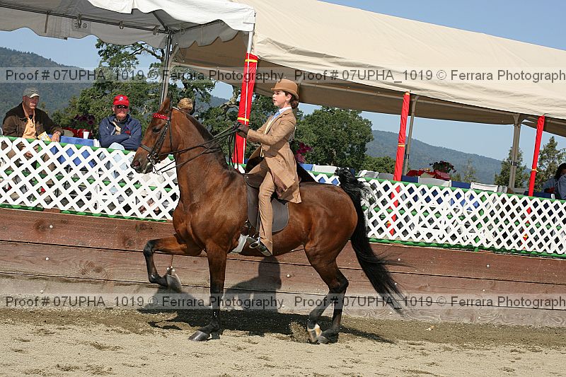 Proof 07upha_1019