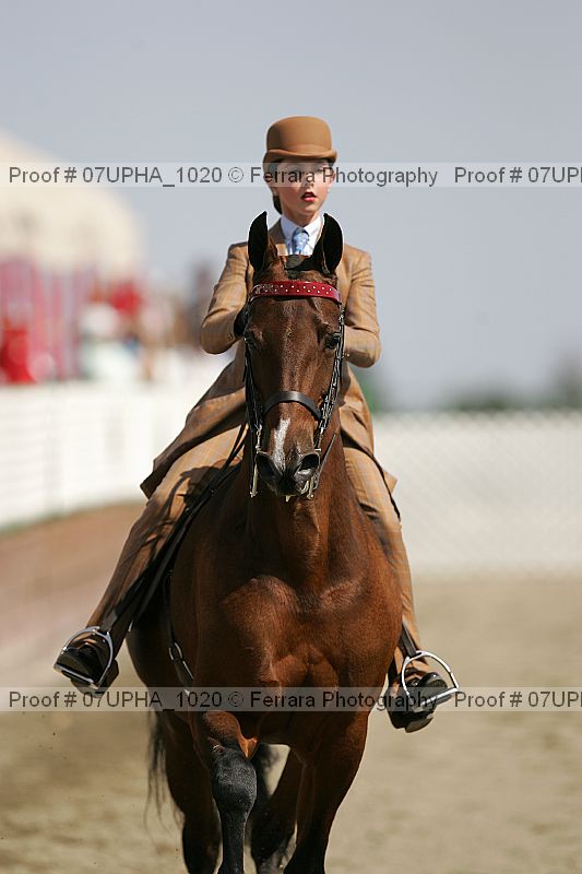 Proof 07upha_1020
