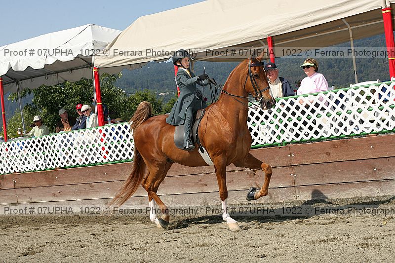 Proof 07upha_1022